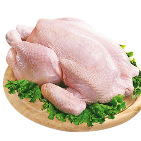 دجاج أبيض طازج