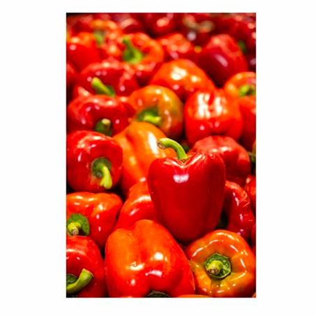 فلفل رومي أحمر