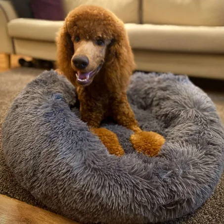 DeepSleep Calming Bed™