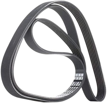 Courroie d'alternateur