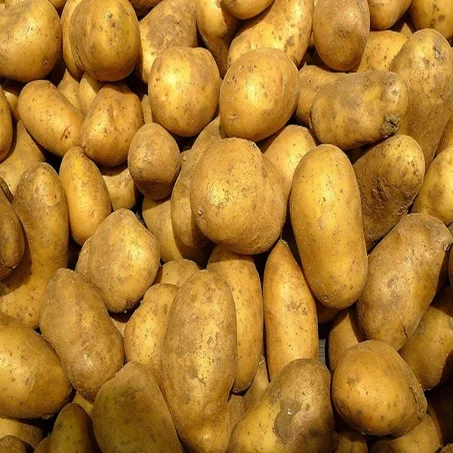 Pomme de terre - بطاطة