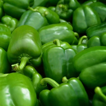 Poivron - فلفلة