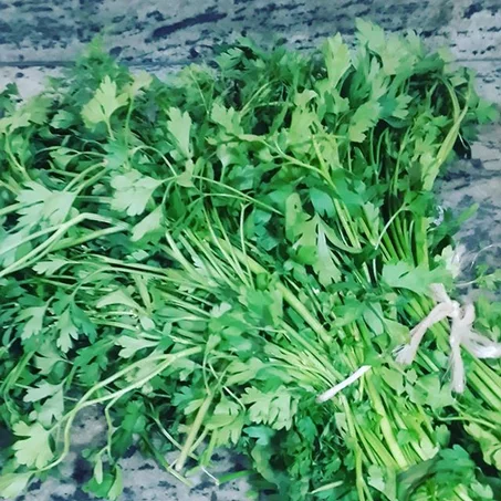 Persil et Coriandre  -  قزبر و بقدونس