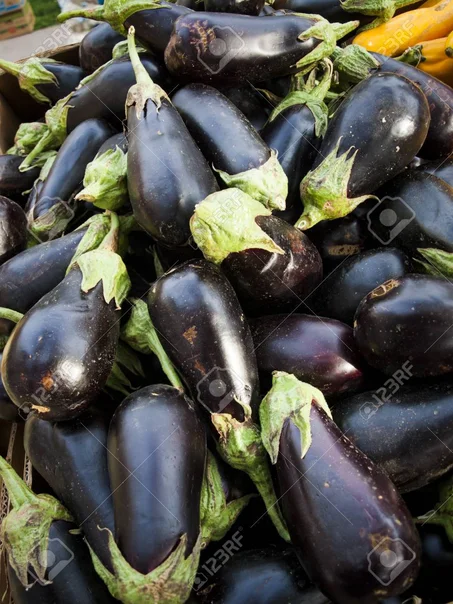Aubergine - دنجال