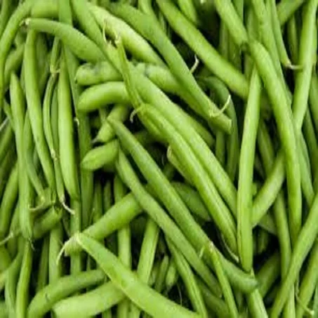 Haricot vert - لوبيا