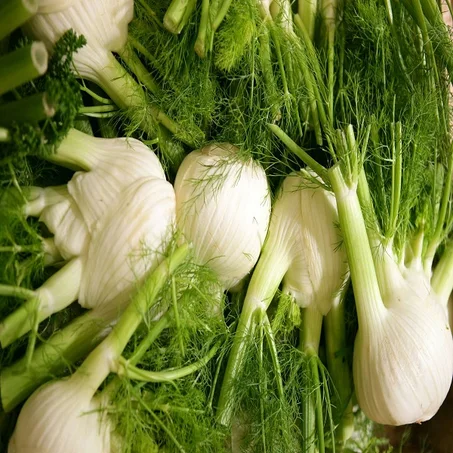 Fenouil - بسباس