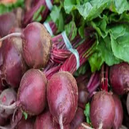 Betterave - باربة