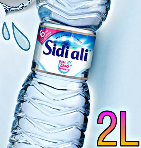 Sidi Ali Pack eau 2L x 4
