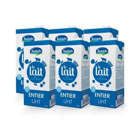 Lait UHT Central 0.5L