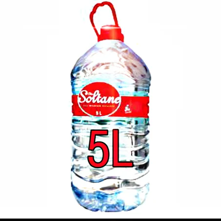 Ain Soltane 5L