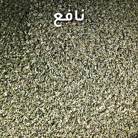 نافع
