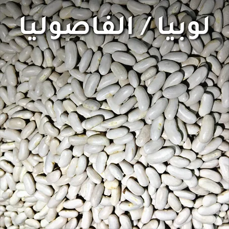 Haricots | فاصوليا
