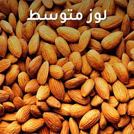 لوز متوسط Amande moyenne