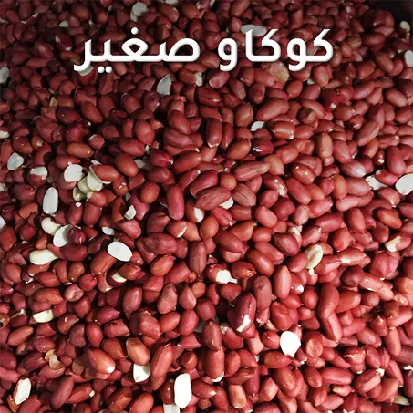 كاوكاو رقيق