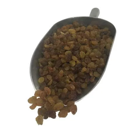 عنب أحمر Raisins secs rouge