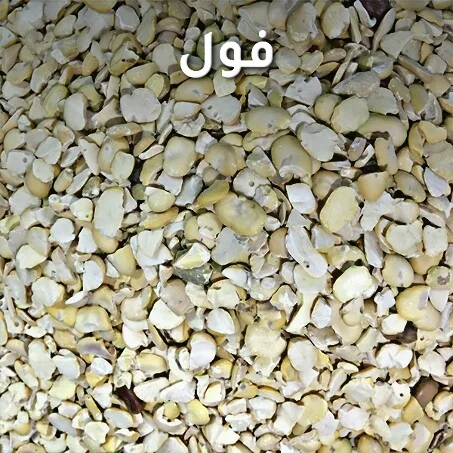 Haricot | فول