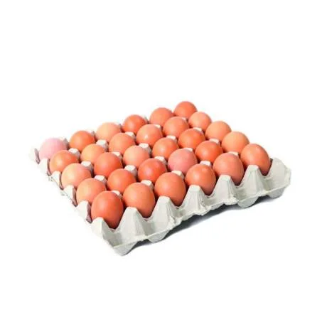 Plateau Oeuf 30pcs