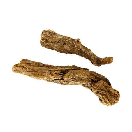 عشب القسط الهندي