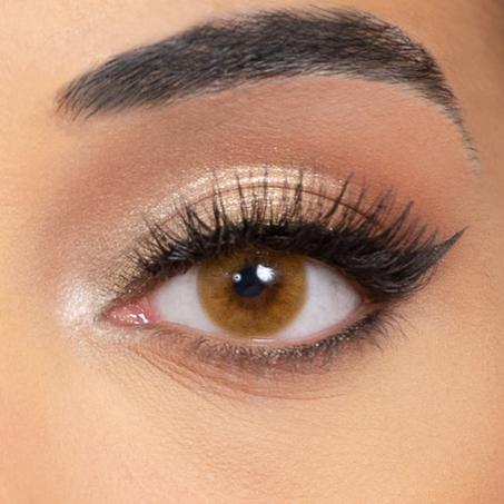 AMBER  ( Lentille de couleur marron noisette   3 MOIS ;  عدسات بنية لثلاثة أشهر )