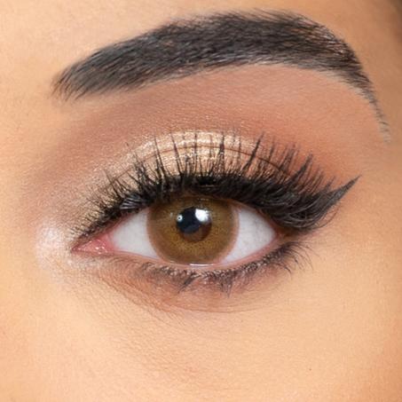 GOLD ( Lentille de couleur marron 3 MOIS ;  عدسات بنية لثلاثة أشهر )