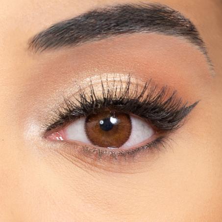 CHOCOLAT ( Lentille de couleur marron 3 MOIS ;  عدسات بنية لثلاثة أشهر )