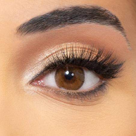 CAPPUCCINO ( Lentille de couleur marron 3 MOIS ;  عدسات بنية لثلاثة أشهر )