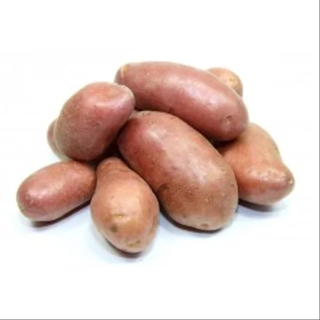 بطاطس