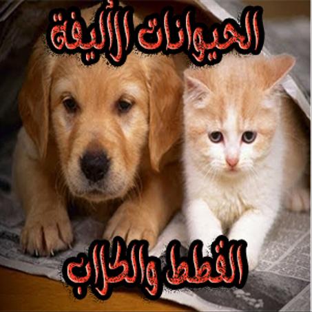 الحيوانات الأليفة