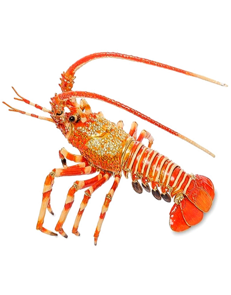 Langouste Vivante