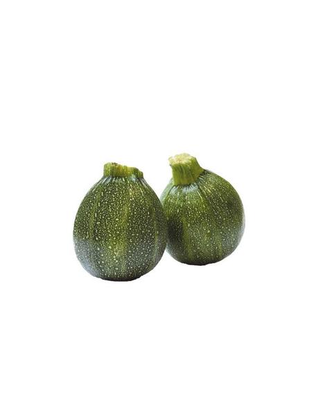 COURGETTE RONDE - جولة كوسة