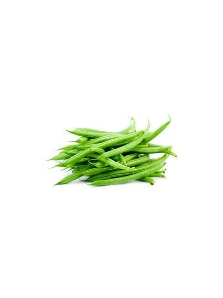 HARICOT VERT - لوبيا خضراء