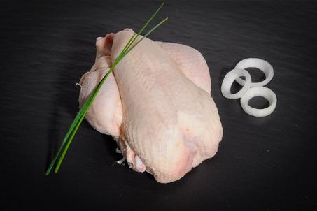 الدجاج الرومي