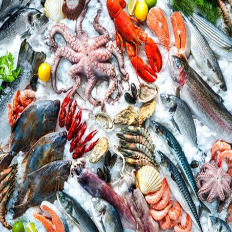 Panier de 5 kg d'excellents poissons