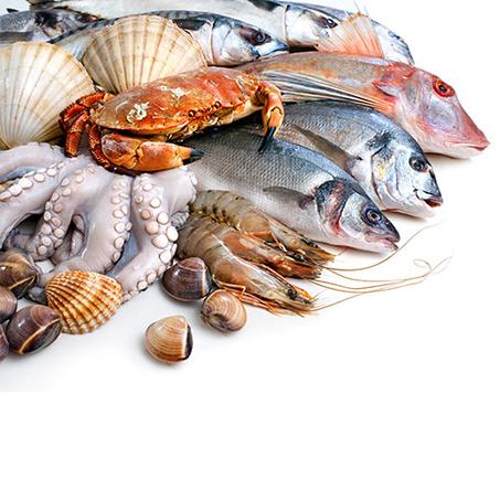 PACK FRITURE PRESTIGE