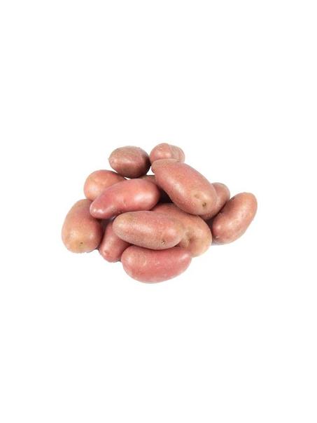 POMME DE TERRE ROUGE - البطاطس الحمراء