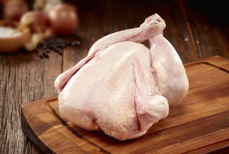 الدجاج البلدي