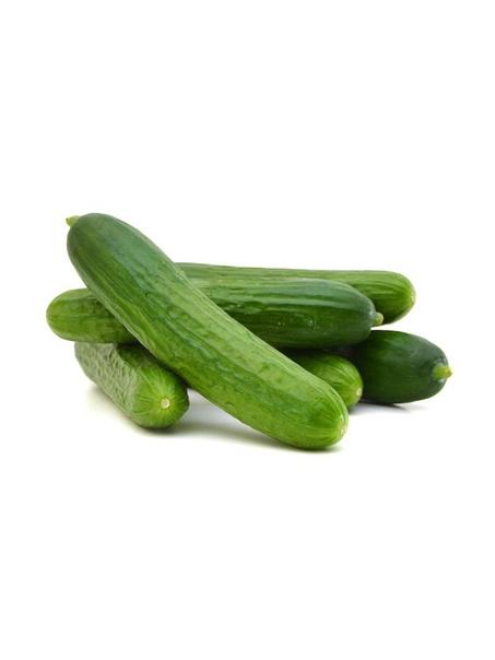 CONCOMBRE - خيار