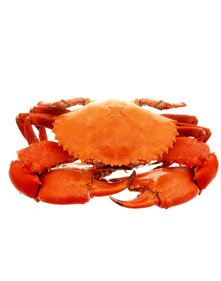 Crabe