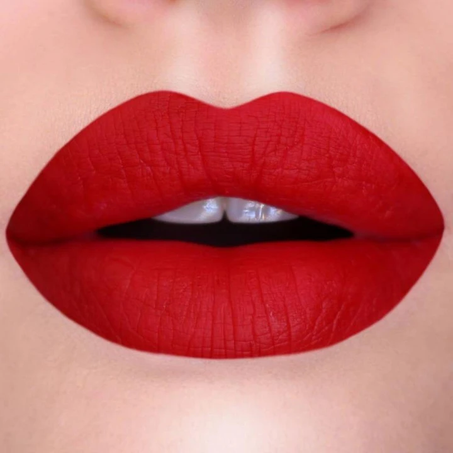 8pcs / set rouge à lèvres liquide mat éternel: Everlasting Matte Liquid Lipstick