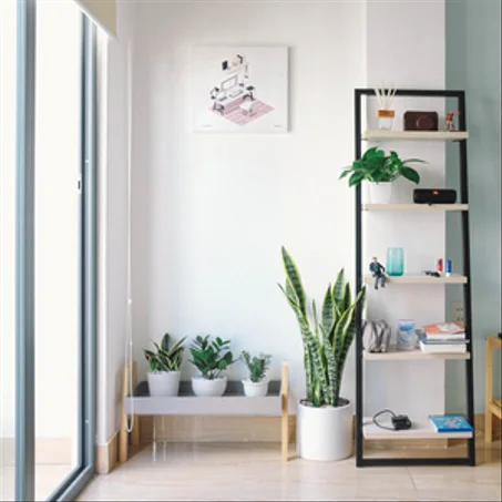 Home and Garden