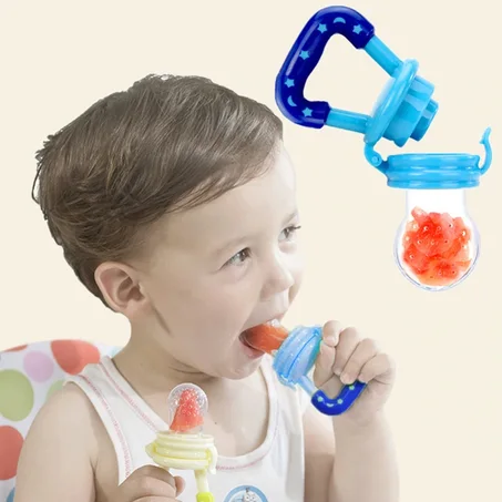 Baby Fresh Food Pacifier